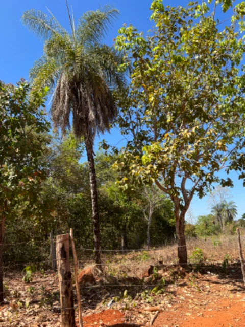 Chácara  em Almas Tocantins-