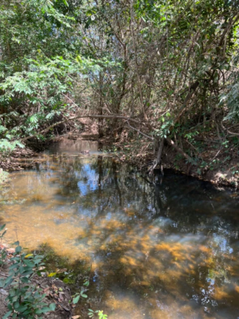 Chácara  em Almas Tocantins-