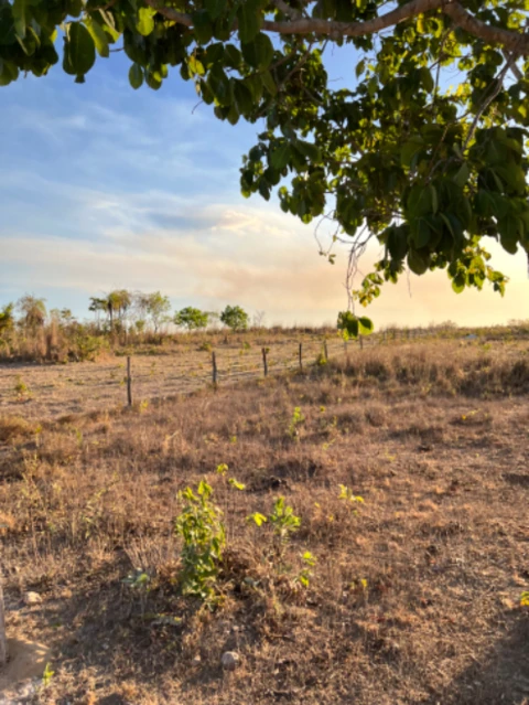 Chácara  em Almas Tocantins-