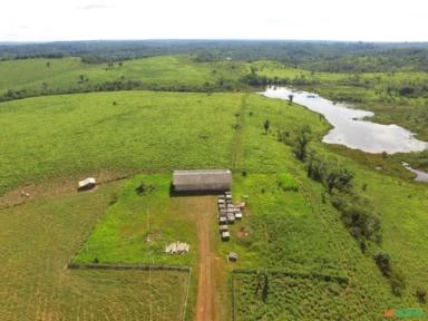 Fazenda para Pecuária no sul do Amazonas