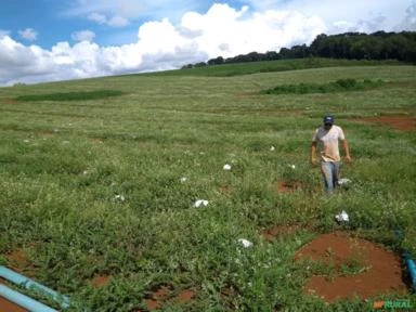 Fazenda para Agricultura ou Pecuária em Guarapuava - PR