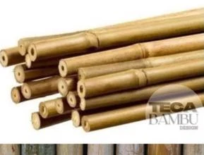 Varas de Bambu Cana da Índia Tratado - Em Ribeirão Preto - sp