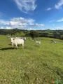 Fazenda em Santa Rita de Caldas MG