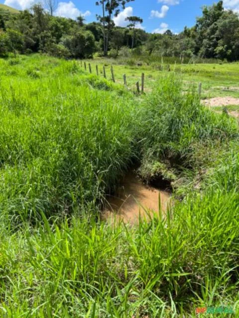 Fazenda em Santa Rita de Caldas MG