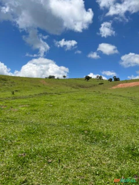 Fazenda em Santa Rita de Caldas MG