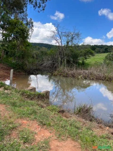 Fazenda em Santa Rita de Caldas MG