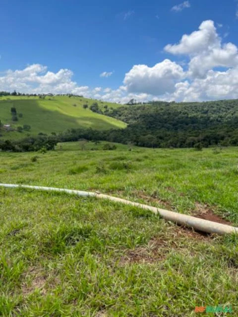 Fazenda em Santa Rita de Caldas MG