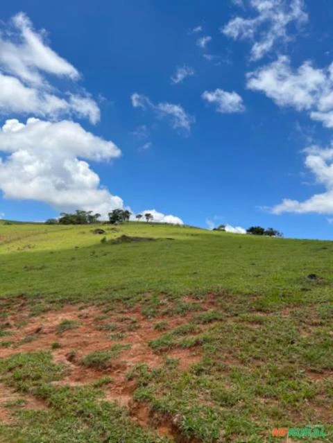 Fazenda em Santa Rita de Caldas MG