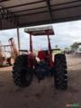 Trator Massey Ferguson 290 ano 86 Imagem Trator Massey Ferguson 290 ano 86