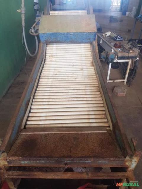 Mesa classificadora de tamanho TOMATE Imagem Mesa classificadora de tamanho TOMATE