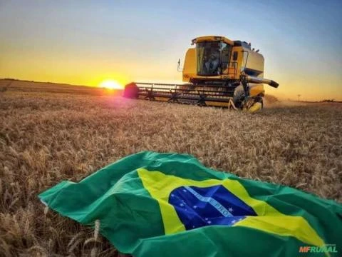 Industria de Fertilizante Foliar e Adjuvantes agrícolas PROCURA SÓCIO INVESTIDOR