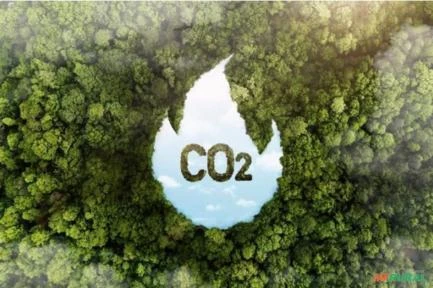 Crédito de carbono Red Floresta Verra e UCS