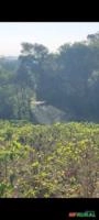 Pulverização com Drone agrícola Imagem Pulverização com Drone agrícola