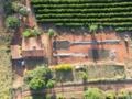Pulverização com Drone agrícola