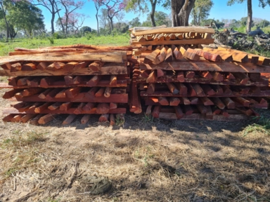 Lasca de Ype Imagem Lasca de Ype