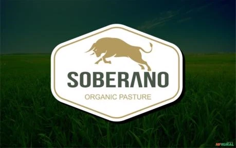 BIO FERTILIZANTE LÍQUIDO PARA PASTAGENS