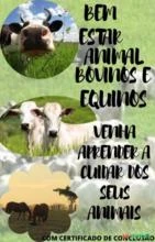 E-book sobre bem-estar animal