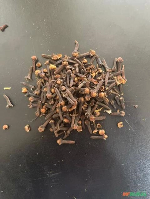 Imagem Cravo da Índia Imagem Cravo da Índia