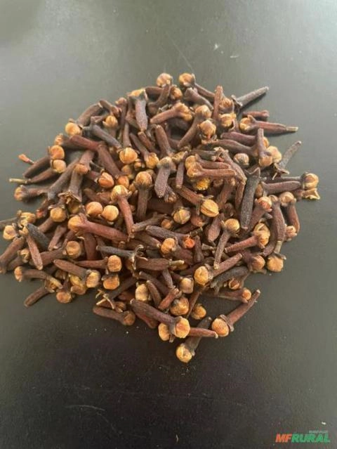 Imagem Cravo da Índia Imagem Cravo da Índia