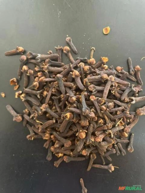 Imagem Cravo da Índia Imagem Cravo da Índia