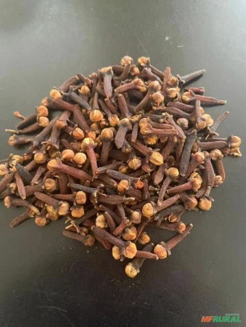 Imagem Cravo da Índia Imagem Cravo da Índia