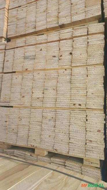 Imagem Vendo Pinus verde e seco em estufa Imagem Vendo Pinus verde e seco em estufa