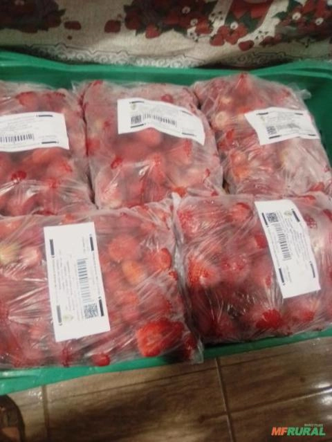 Imagem Morango Congelado Imagem Morango Congelado