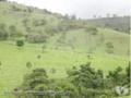 Fazenda em Formoso de Goiás