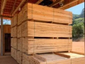 Vende-se madeira de eucalipto, pinus e pinheiro serrado