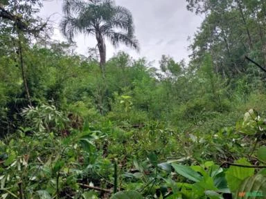 Terreno em sete barras