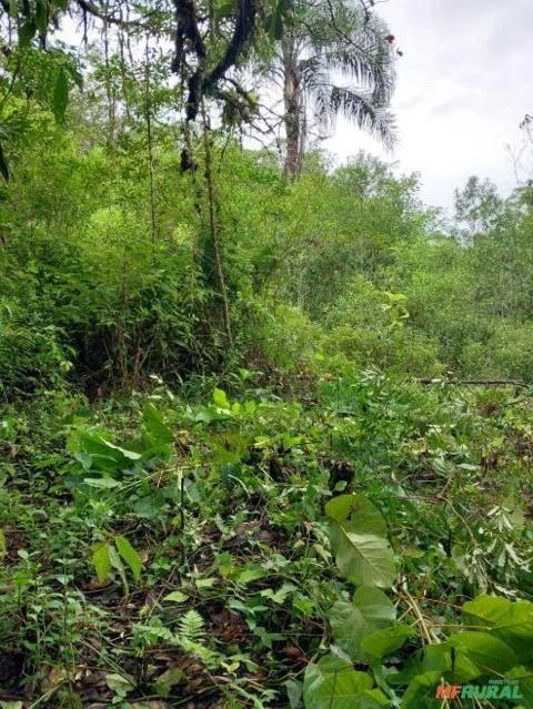 Terreno em sete barras