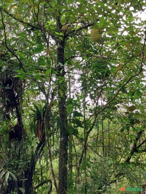 Terreno em sete barras