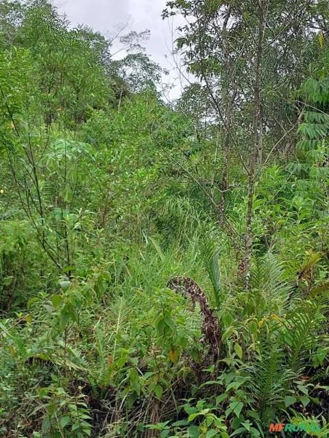 Terreno em sete barras