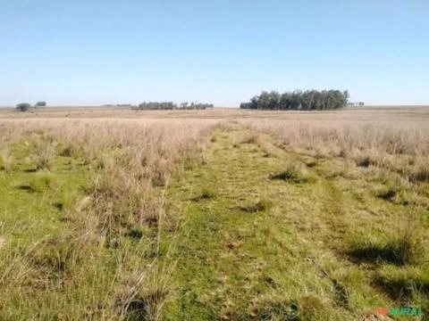 FAZENDA em Quarai / RS