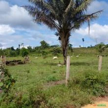 Fazenda a venda em Manaus