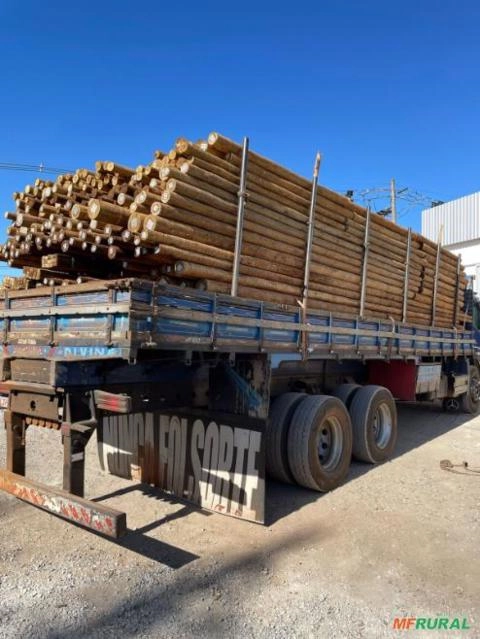 Imagem EUCALIPTO CLOEZIANA TRATADO Imagem EUCALIPTO CLOEZIANA TRATADO