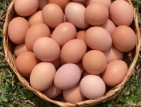 Ovos caipira à venda