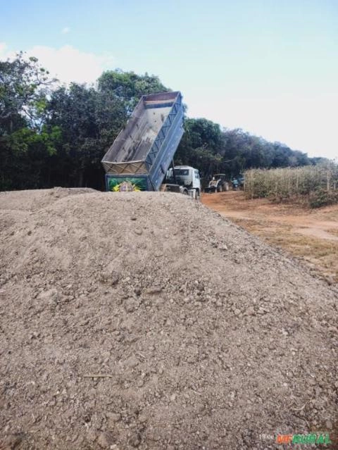 Adubo orgânico esterco de galinha poedeira Imagem Adubo orgânico esterco de galinha poedeira