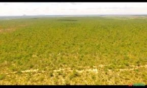 Fazenda em Barreiras do Piauí