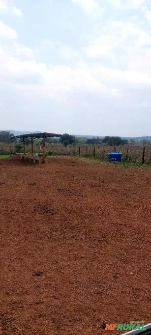 Fazenda na região sul do Pará Conceição do Araguaia