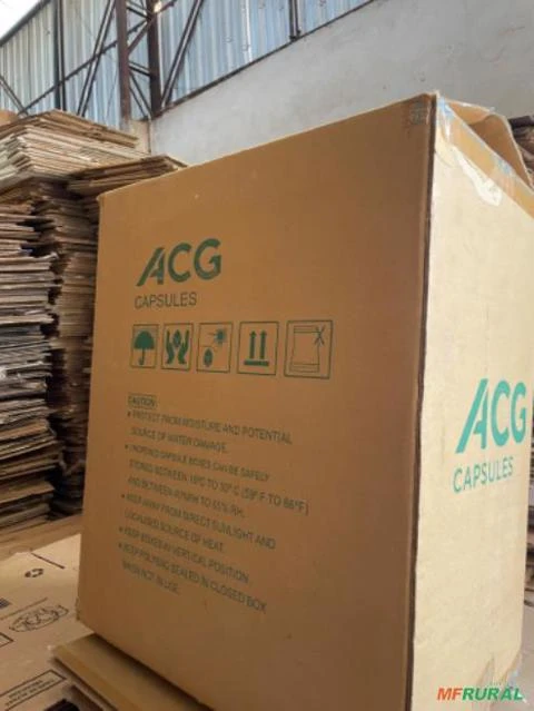 Caixa de papelão Grande * ACG