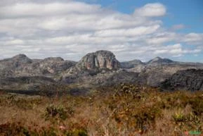 Fazendas para Compensação Ambiental nos Biomas Cerrado e Mata Atlântica