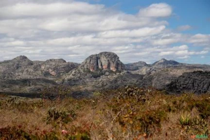 Fazenda para Compensação Ambiental no Bioma Cerrado