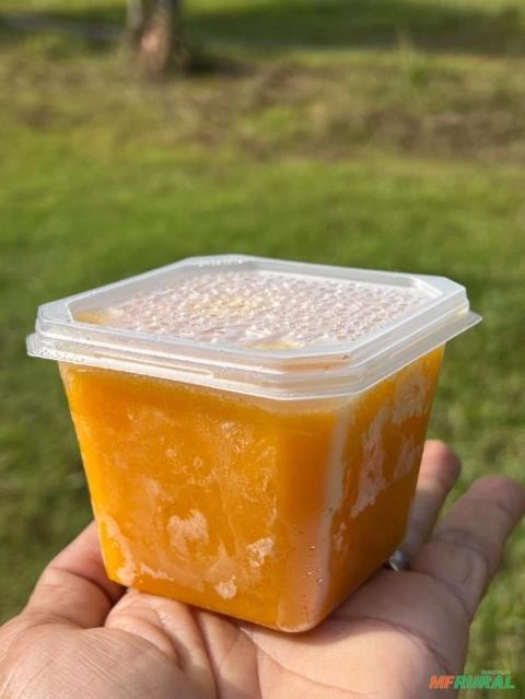 Maracujá Imagem Maracujá