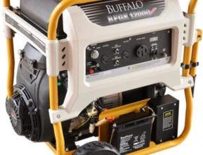 Gerador de energia Buffalo BFGE-12000 Master 12,0 kVA - partida elétrica - monofásico - 115V/230V