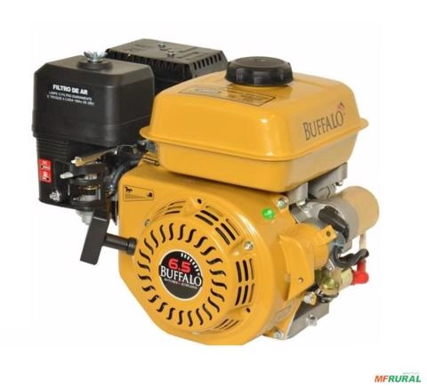 Motor Estacionário Buffalo BFG 6.5 CV a Gasolina com Partida Manual Imagem Motor Estacionário Buffalo BFG 6.5 CV a Gasolina com Partida Manual