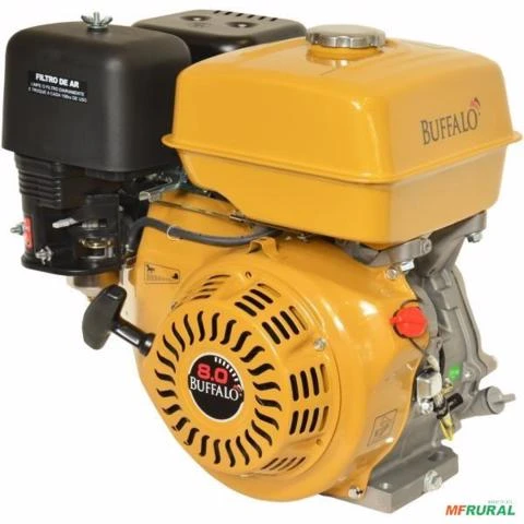 Motor Estacionário Buffalo BFG 8.0 CV a Gasolina com Partida Manual Imagem Motor Estacionário Buffalo BFG 8.0 CV a Gasolina com Partida Manual