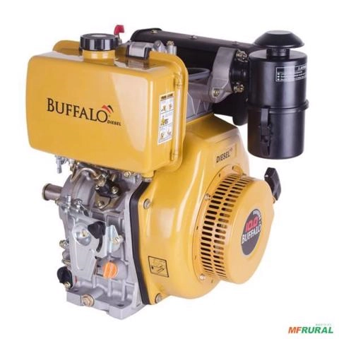 Motor Estacionário Buffalo BFDE 10.0 CV a Diesel com Partida Elétrica - Filtro a Óleo Imagem Motor Estacionário Buffalo BFDE 10.0 CV a Diesel com Partida Elétrica - Filtro a Óleo