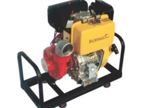 Motobomba Centrífuga Buffalo BFD 2.1/2 x 2.1/2 Pol 10.0cv - Diesel - Partida Elétrica