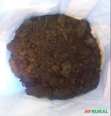 Esterco Bovino Imagem Esterco Bovino